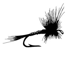 dry-fly-icon